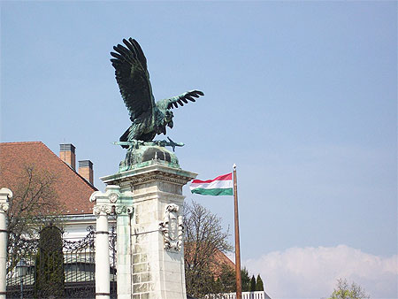 Turul