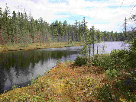 Algonquin Park - "Mizzy Lake" trail