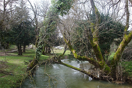 Eau pure et pr�cieuse Ifrane