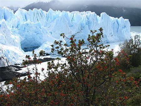 Perito Moreno