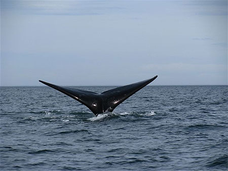Puerto Madryn