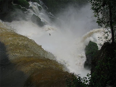 Iguazu