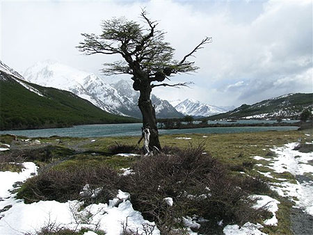El Chalten