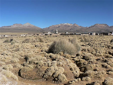 Parque Sajama