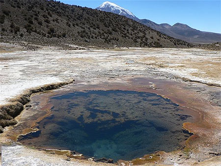 Parque Sajama