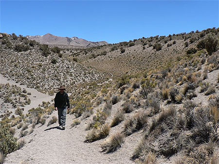 Parque Sajama