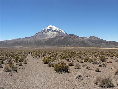 Parque Sajama
