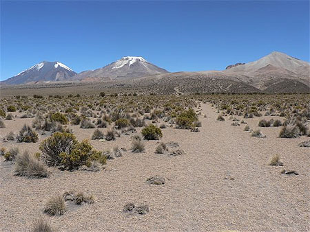 Parque Sajama
