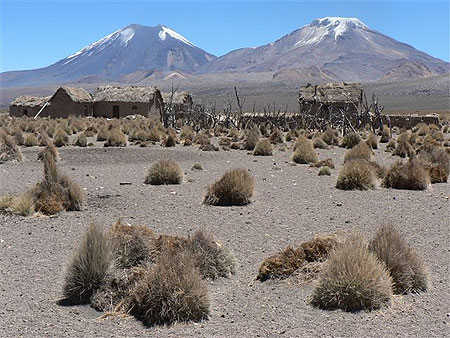 Parque Sajama