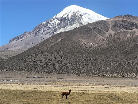 Parque Sajama