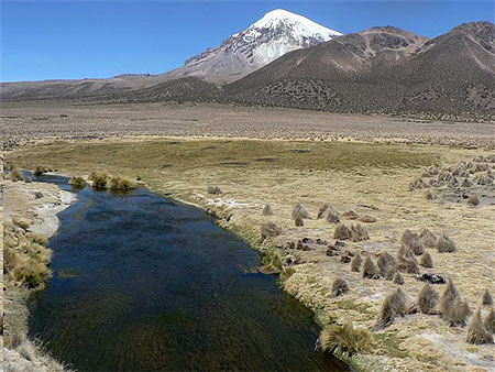 Parque Sajama
