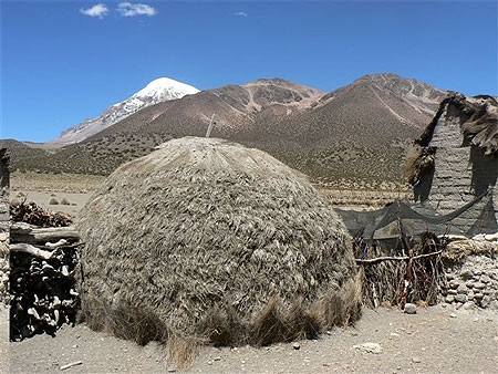 Parque Sajama