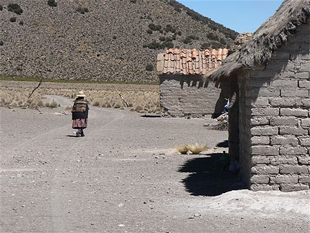 Parque Sajama