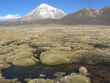 Parque Sajama