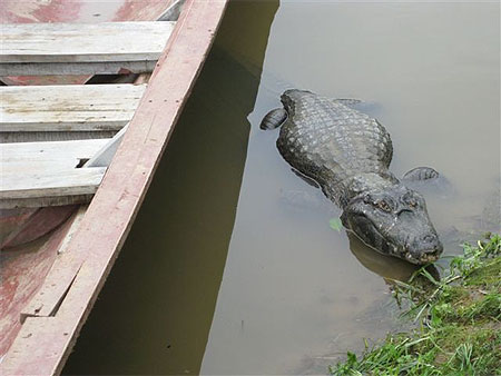 Rurrenabaque