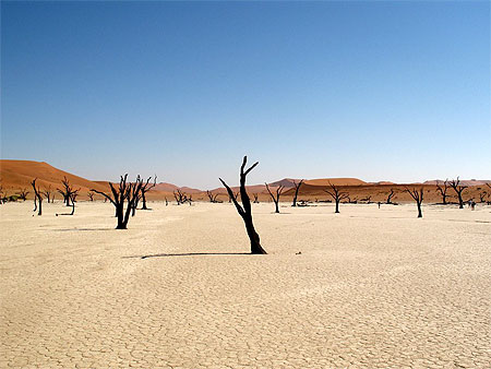 Dead Vlei