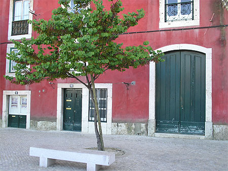 Ginko devant fa�ade quartier Alfama