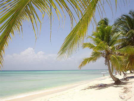 Paradis