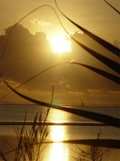 Lever de soleil zanzibar