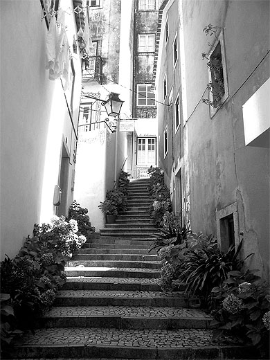 Rue Sintra