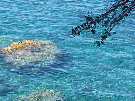 Cala