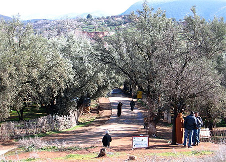 Village d'Ouzoud