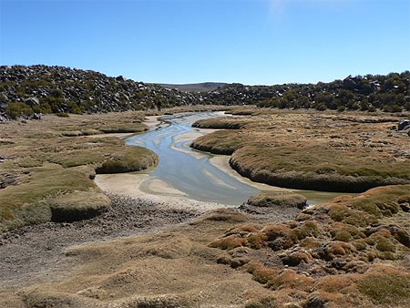 Parque Lauca