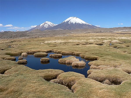 Parque Lauca