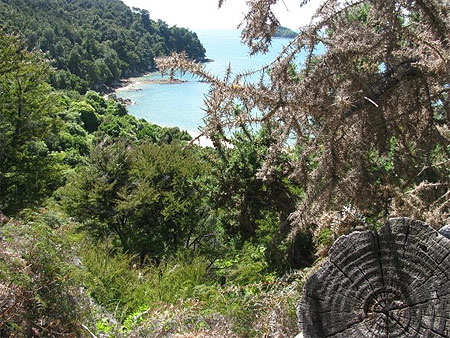 Abel Tasman National Park