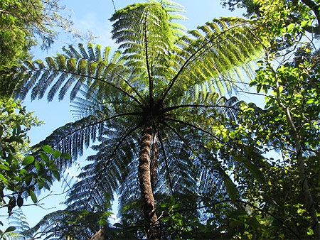Abel Tasman National Park