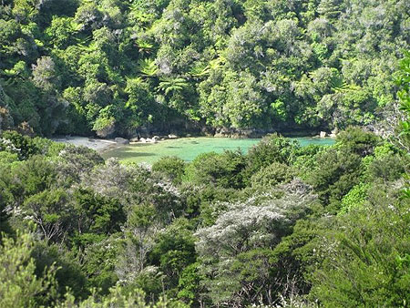 Abel Tasman National Park