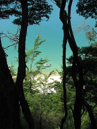 Abel Tasman National Park