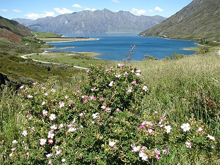 Lac sur la route de Queenstown