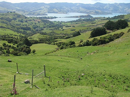 Akaroa