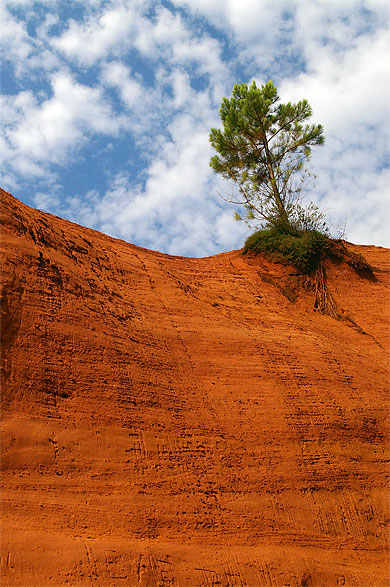 Colorado Provencal