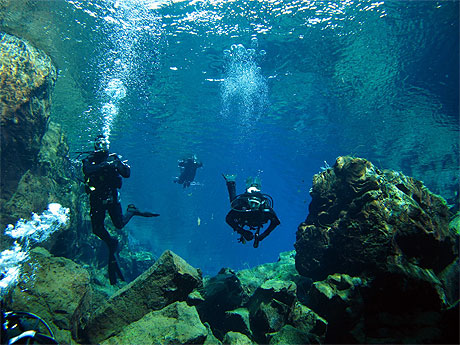 Plong�e � Thingvellir
