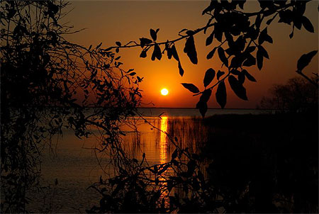 Coucher de soleil sur les Esteros del Ibera
