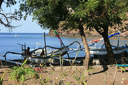 Amed