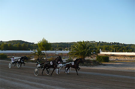 Courses � l'hippodrome