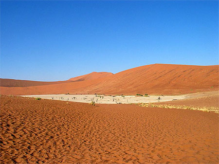 Lac ass�ch� Dead Vlei