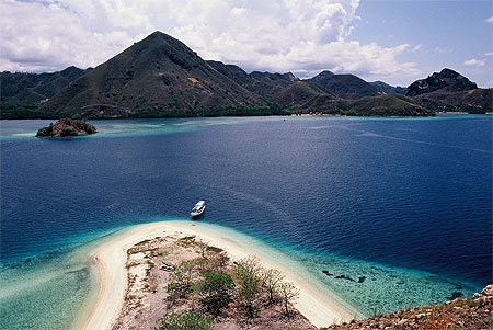 Welcome in paradise