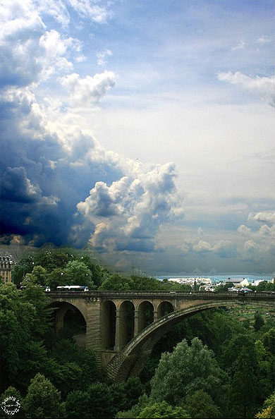 Vue du parc