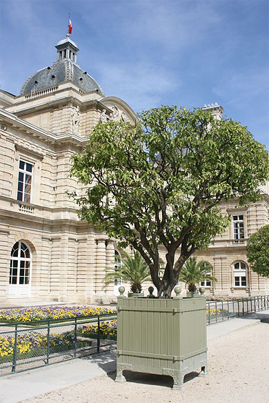 Le palais du Luxembourg � Paris