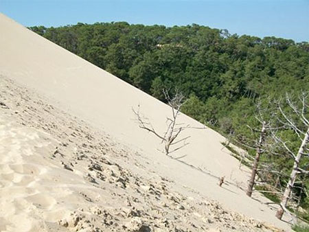 Dune du Pyla
