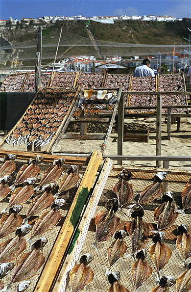 Etal de poissons et vue du Sito