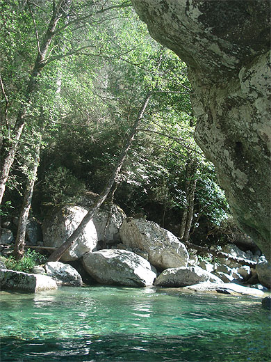 Vall�e de la restonica