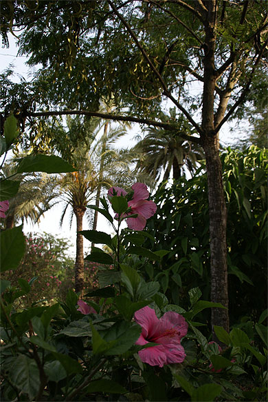 Paseo de Catalina Ribera