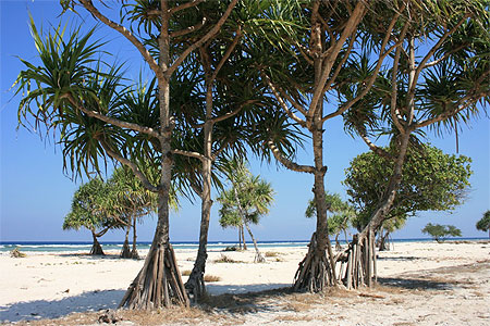 Gili Trawangan