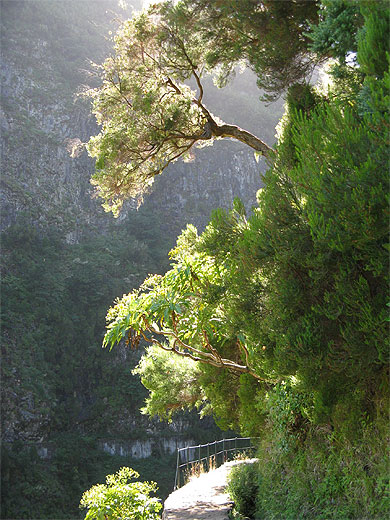 Levada "25 Fontes"