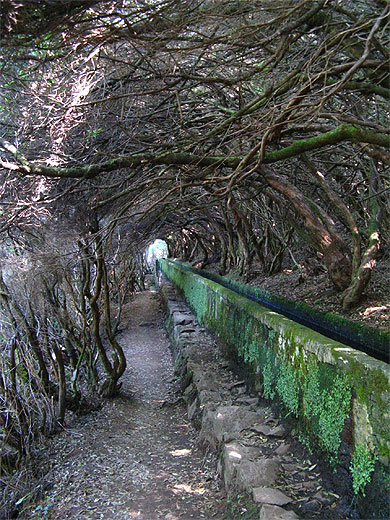 Levada "25 Fontes"